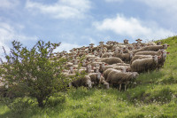 /album/foto-adriano/20140504-volterra-1053-copia-jpg/